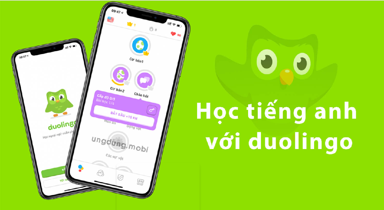 Tải ngay app Duolingo để học hỏi thêm nhiều kiến thức, từ vựng mới hoàn toàn miễn phí.